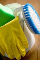 Green cleaning companies likely to welcome government decision